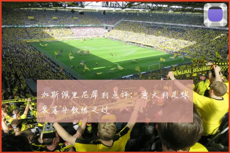 加斯佩里尼犀利点评：意大利足球衰落非教练之过