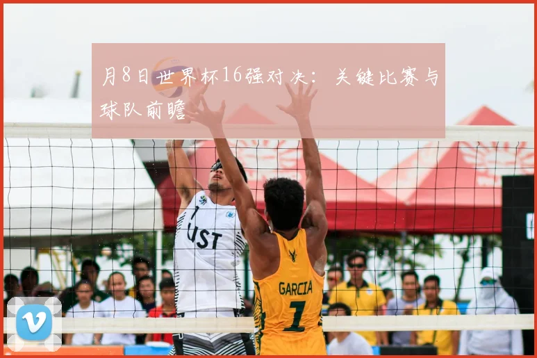 月8日世界杯16强对决:关键比赛与球队前瞻